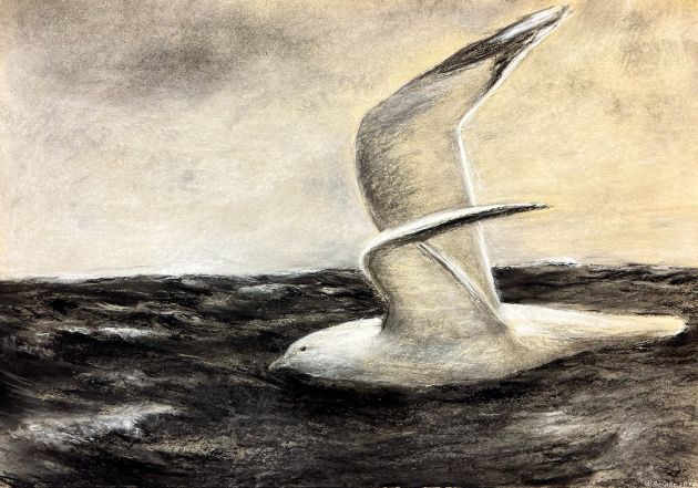 Wolfgang Reinke | Möwe | 2018 | Ölkreide auf Papier | 55 x 80 cm